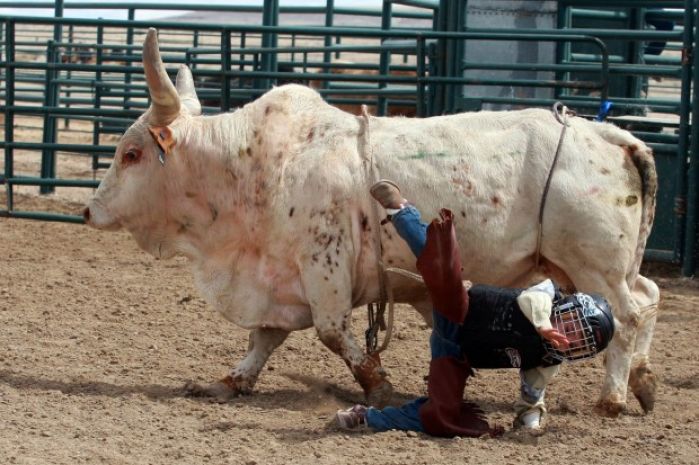 Mini Bull Riding